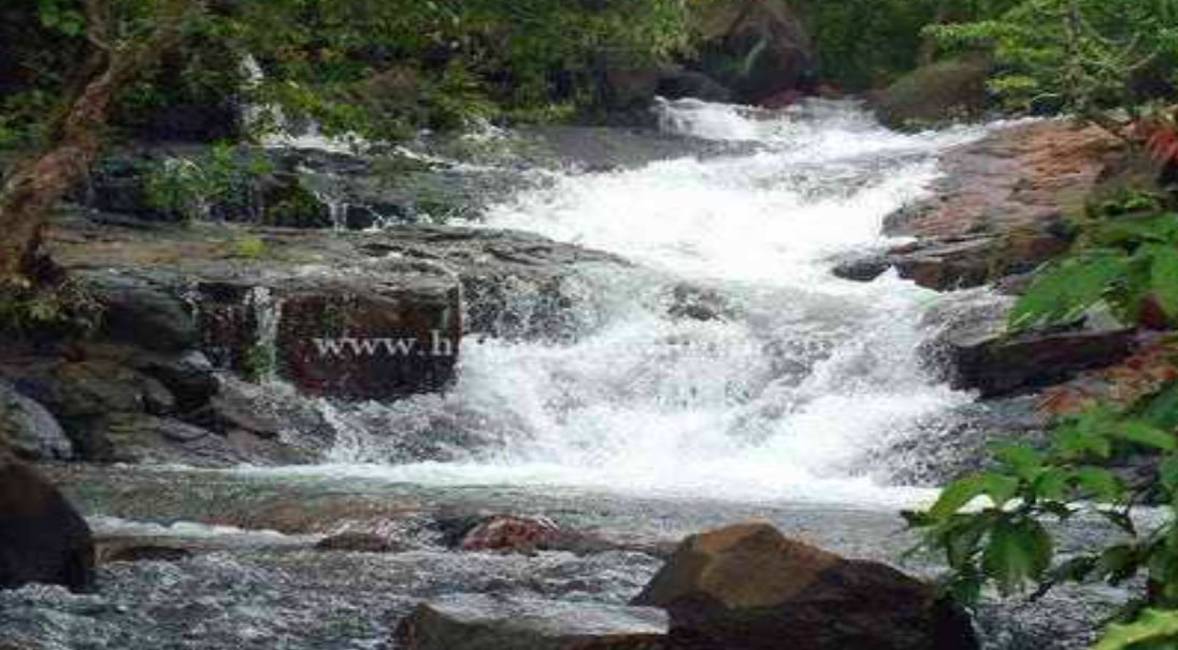 resort near murud